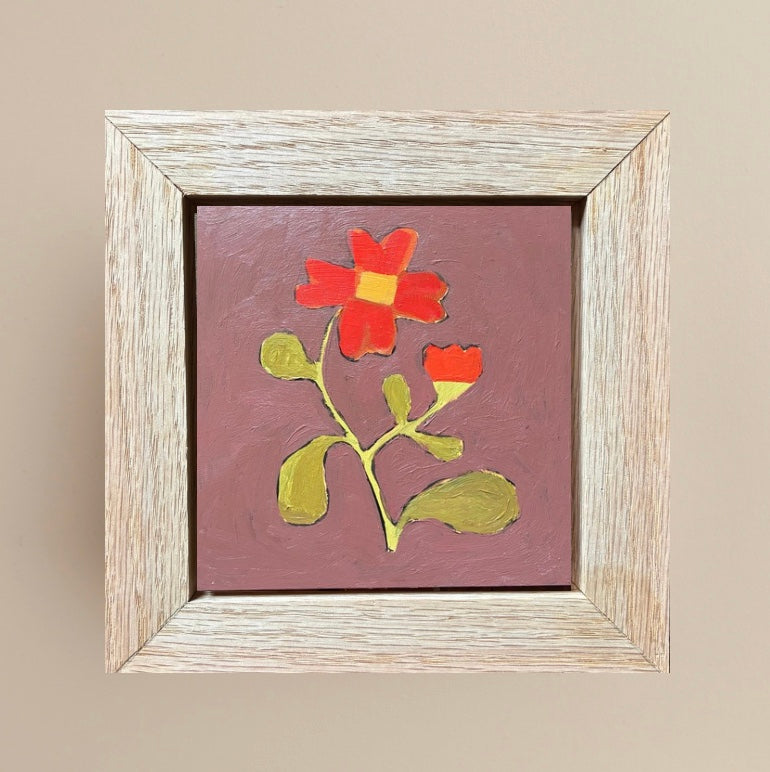 To Bloom 12/20
